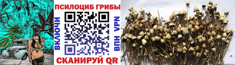 Псилоцибиновые грибы мухоморы  Нестеровская 